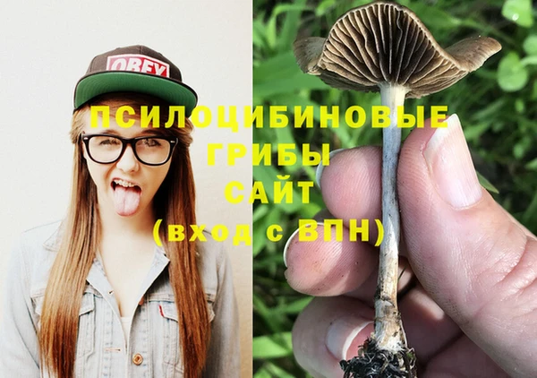 не бодяженный Вяземский