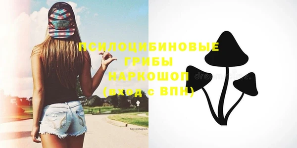 хмурый Вязьма