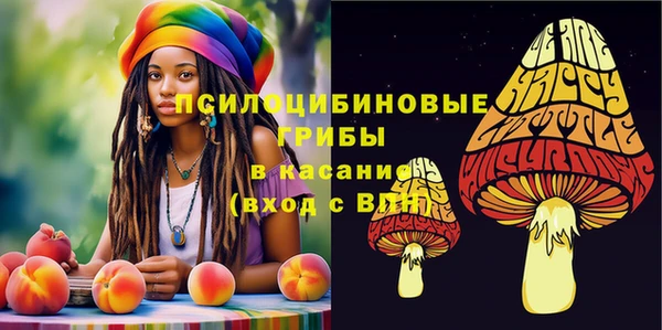 хмурый Вязьма