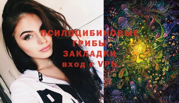 хмурый Вязьма